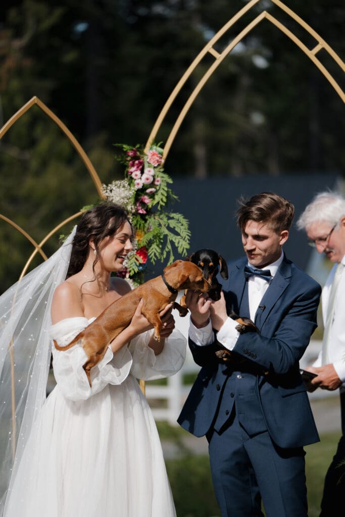 Hayley Zumkeller photography and videography team from Victoria BC capture a groom and bride with their dogs at the from of the aisle at the start of their Nanaimo outdoor wedding ceremony.