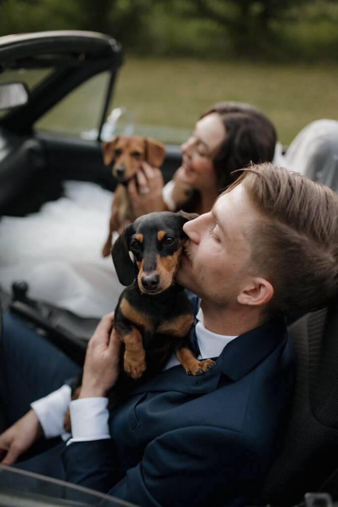 Hayley Zumkeller photography and videography team from Victoria BC capture a groom and bride with their dogs inside a vintage care just following their Nanaimo outdoor wedding ceremony.