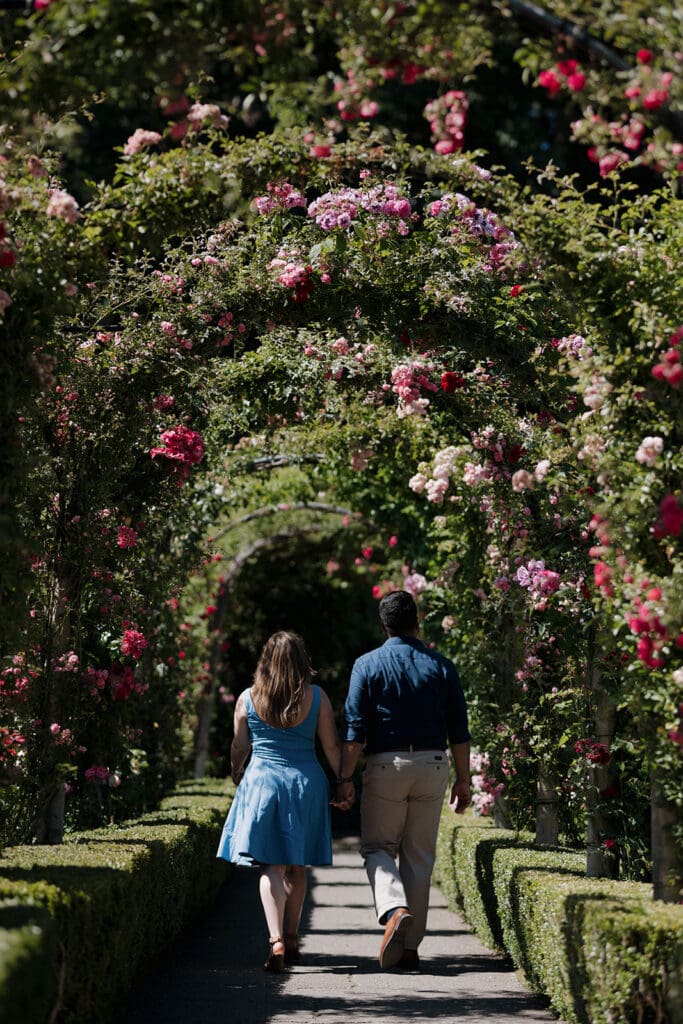 The colourful beauty of the Butchart Gardens grounds is captured in this image by Hayley Zumkeller photography and videography team from Victoria BC. We see a floral archway and the backs of an engaged couple in this image.