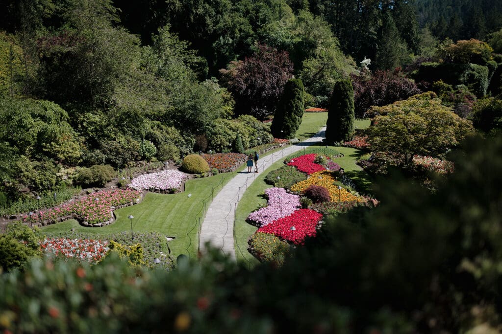 The colourful beauty of the Butchart Gardens grounds is captured in this overhead image by Hayley Zumkeller photography and videography team from Victoria BC.